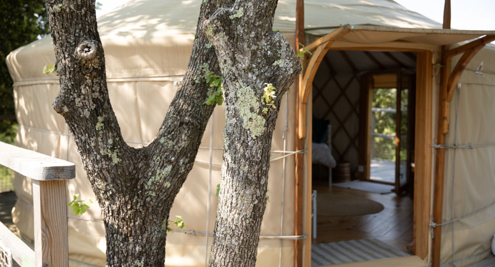 Les Yourtes de Provence : Darwin