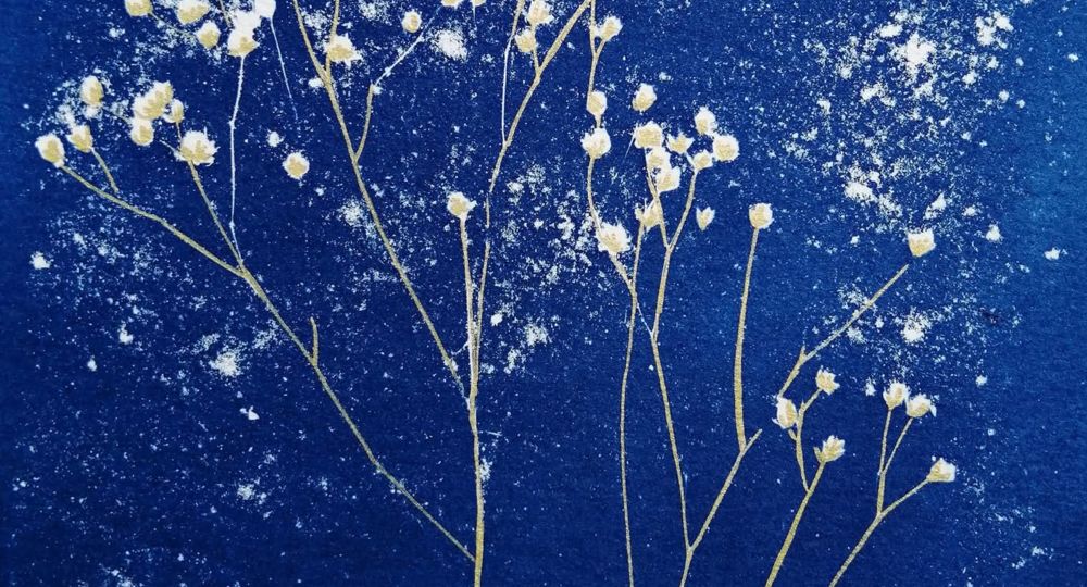 cyanotype