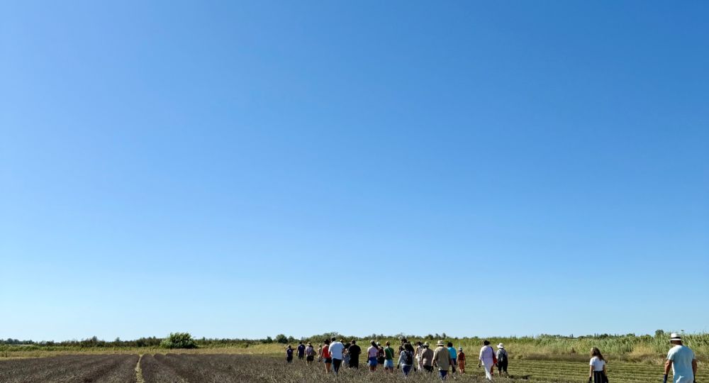 Visites guidées au Mas en Provence_Bellegarde