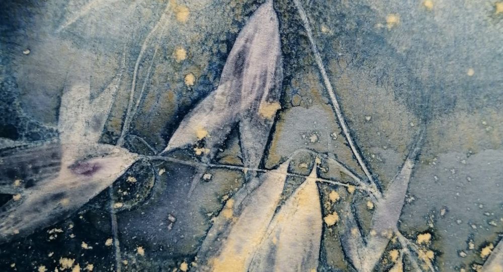 cyanotype humide