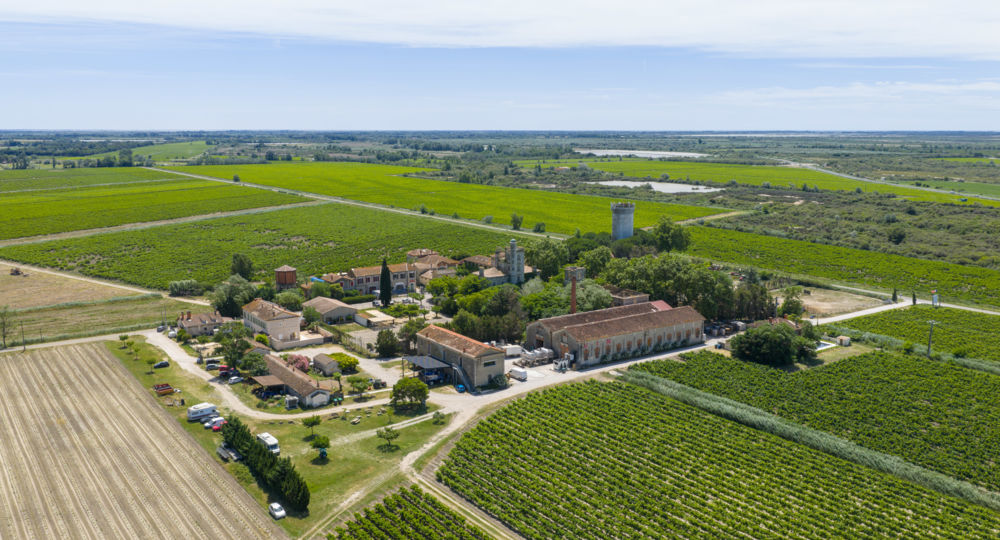 Domaine de Montcalm_Vauvert