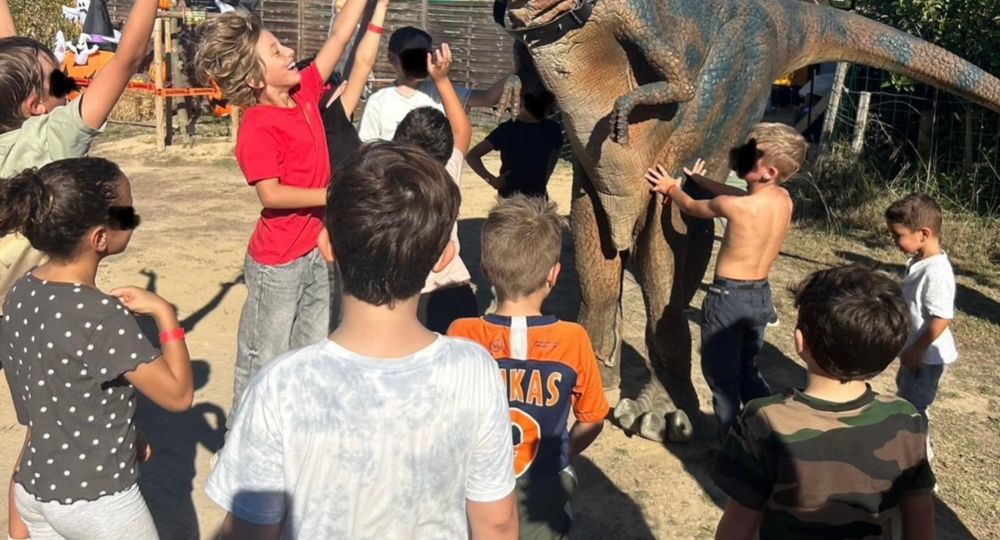 Optimum Loisirs_Gallargues-le-Montueux