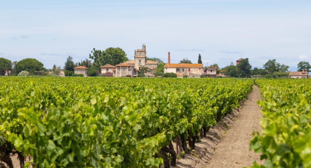 Domaine de Montcalm_Vauvert