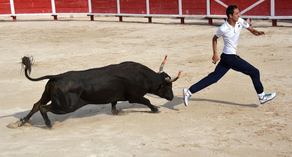 Course camarguaise Avenir Souvenirs Paul Trinquier_Remoulins
