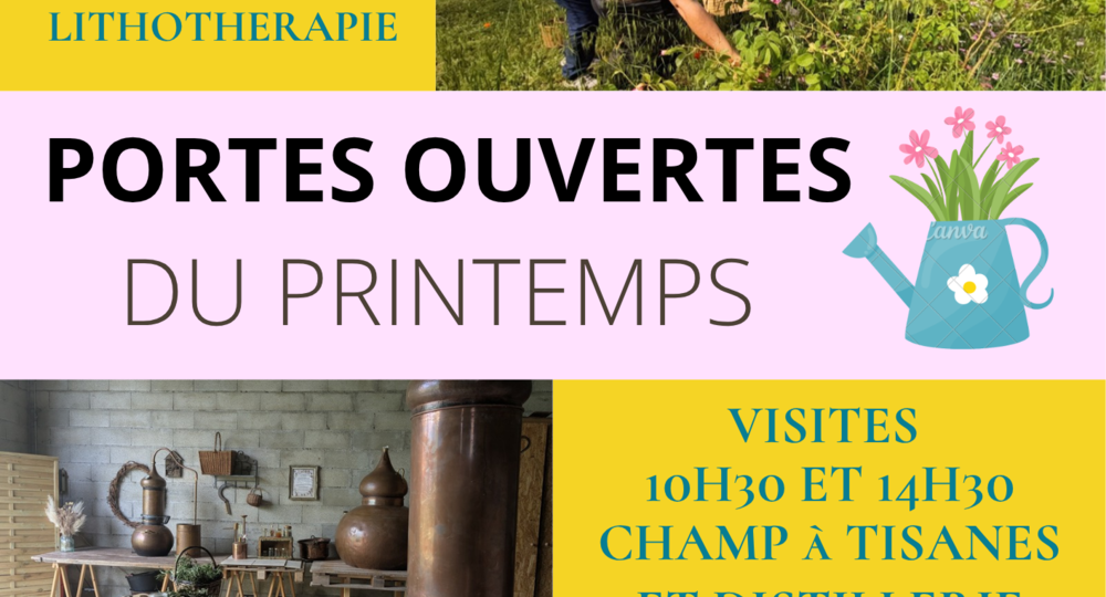 Portes ouvertes chez Fleur d'Artisane - productrice d'herbes aromatiques et médicinales_Saint-Gervais