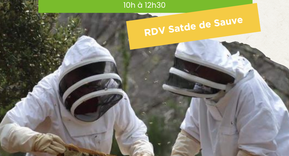 Visite du Rucher_Sauve