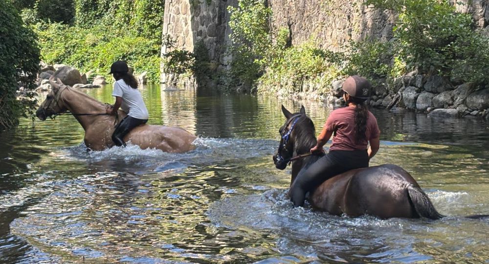 Les Poneys du Val d'Emeraude_Lasalle