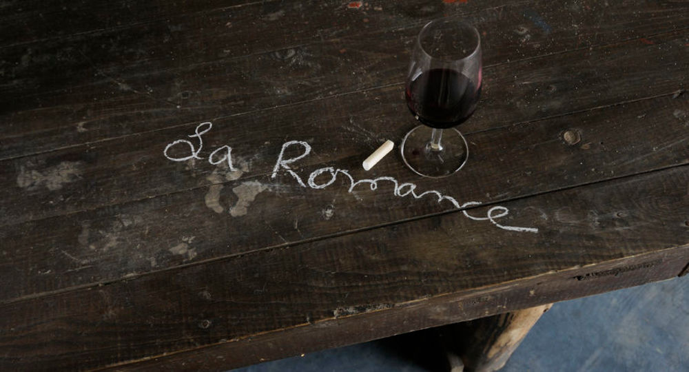 Domaine la Romance, Biodiversité & terroir : les secrets d’un vignoble vivant - fête de la science, Sciences et saveurs en Gard Rhodanien_Bagnols-sur-Cèze