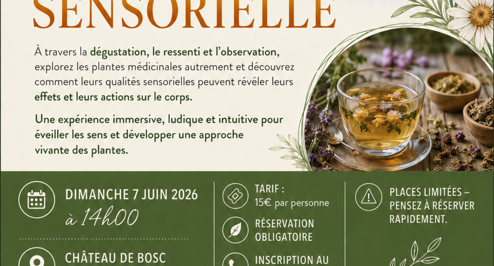 Château de Bosc - Rendez-vous aux jardins_Domazan