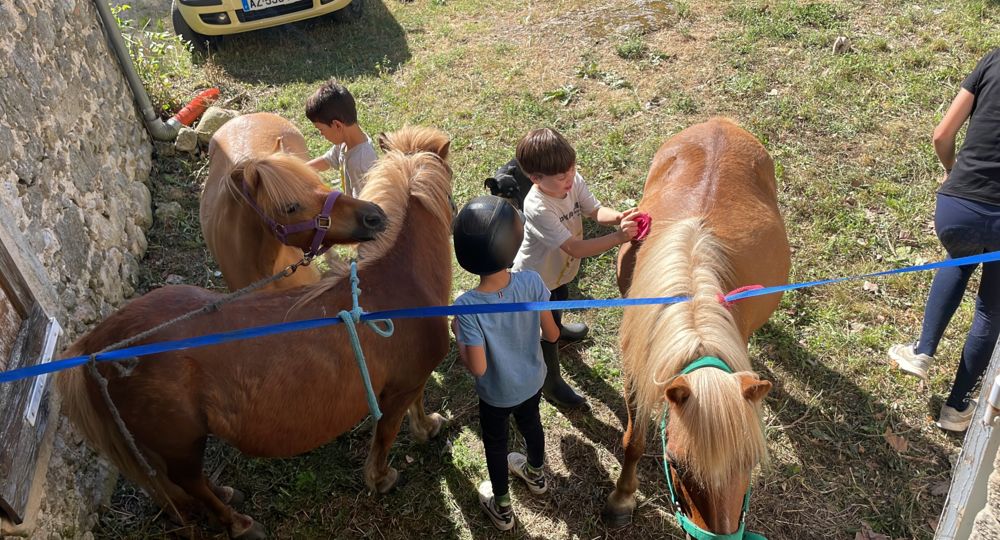 Les Poneys du Val d'Emeraude_Lasalle