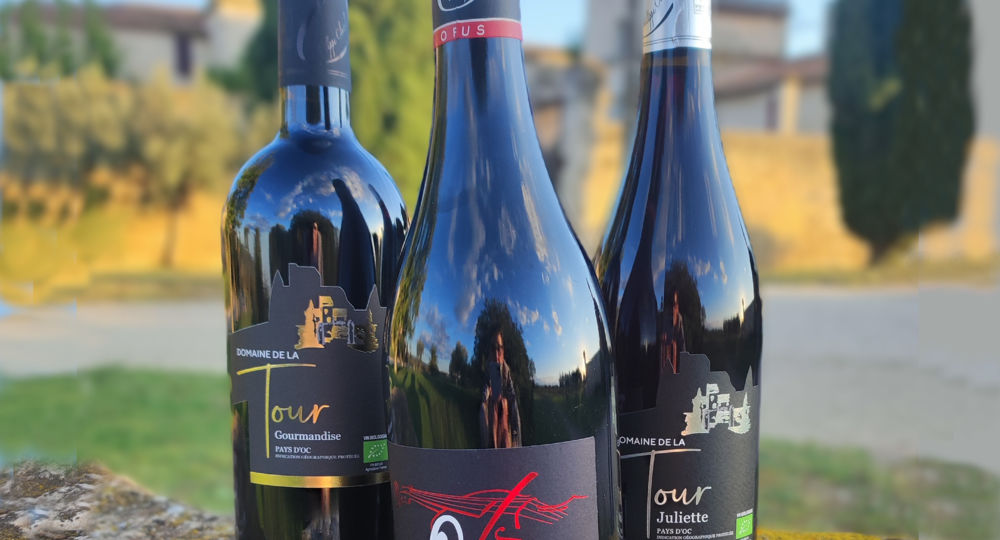 Visite et dégustation du Domaine de la Tour_Beaucaire