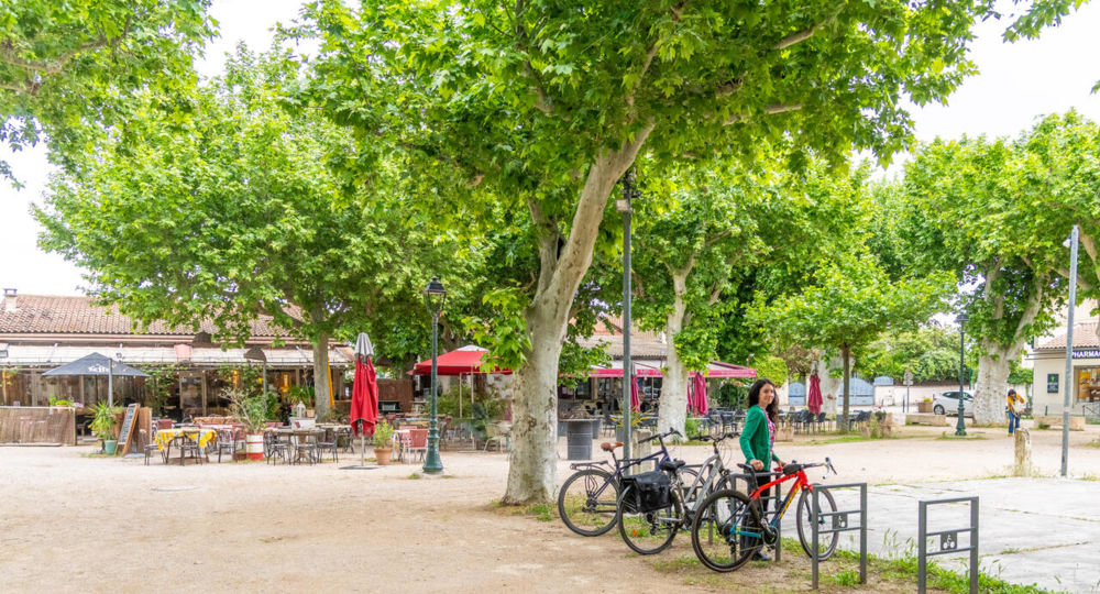 Boucle cyclo - Du Rhône à la Montagnette_Vallabrègues