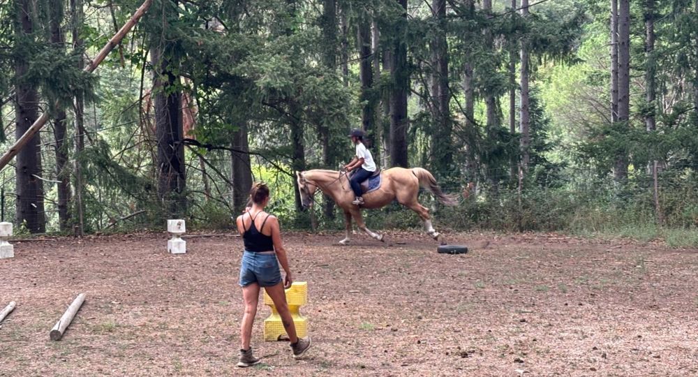 Les Poneys du Val d'Emeraude_Lasalle