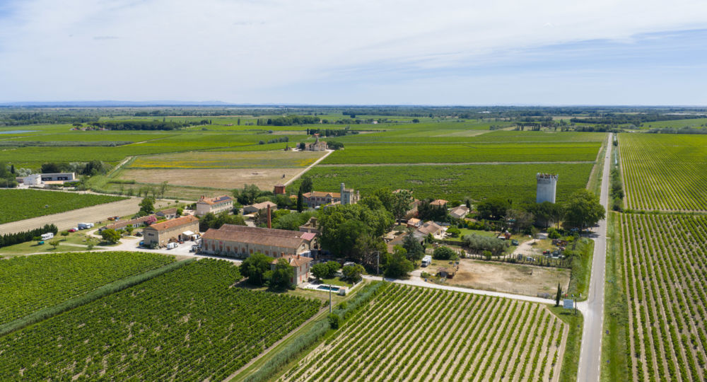 Domaine de Montcalm_Vauvert