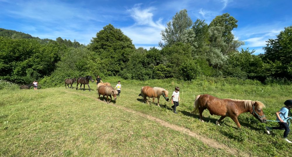Les Poneys du Val d'Emeraude_Lasalle