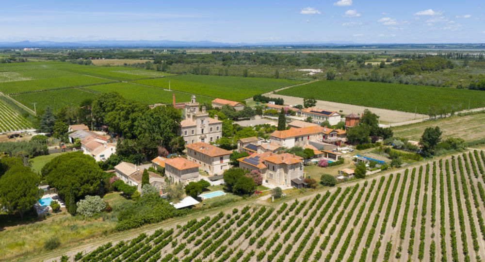 Domaine de Montcalm_Vauvert