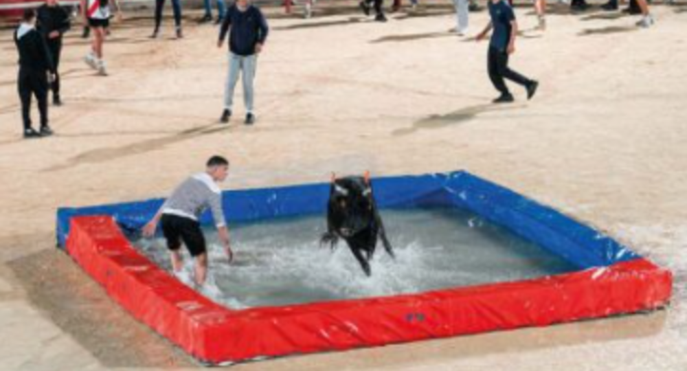 Féria d'Alès - Toro Piscine_Alès