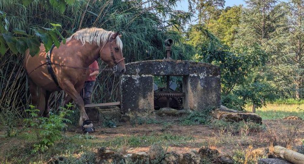 Journées Européennes du Patrimoine 2026 - Retour aux sources : démonstration vivante d'une noria_Saint-Quentin-la-Poterie