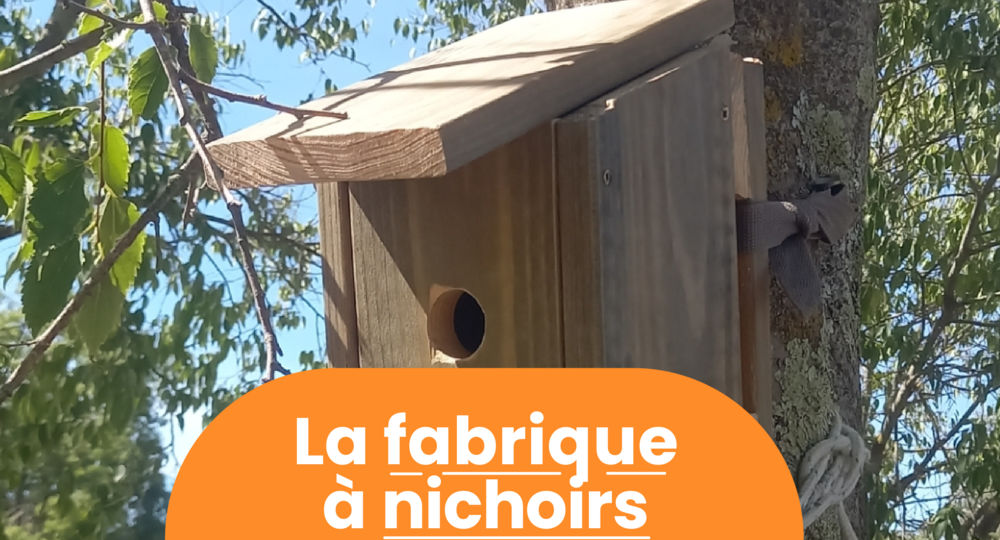Rendez-vous Nature - Animations et balades gratuites à Saint-Côme-et-Maruéjols