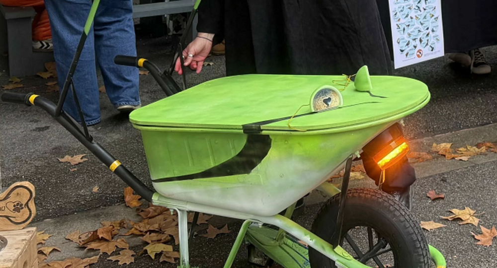 Sortie Nature avec le COGard - Amphibrouette !_Valliguières