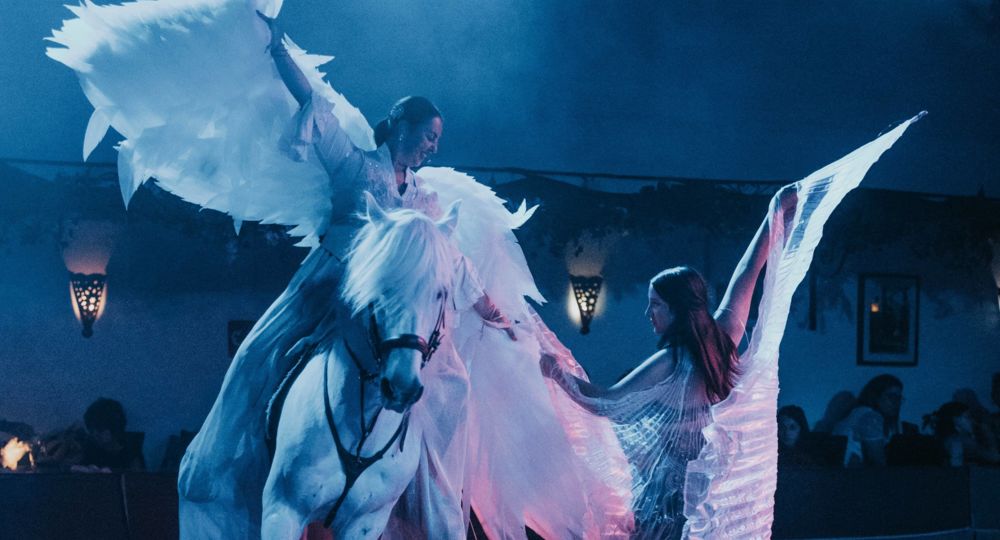 Danseuse & Cavalier