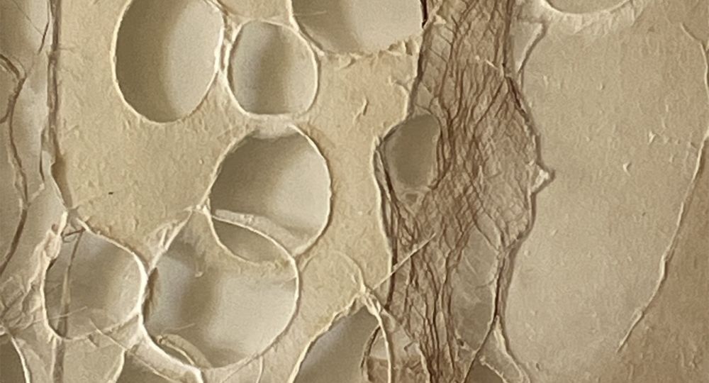 Fibres végétales