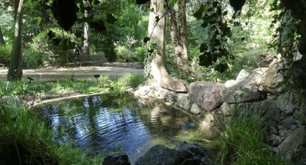 Visite du Jardin Remarquable des Oules - JEP 2026_Saint-Victor-des-Oules