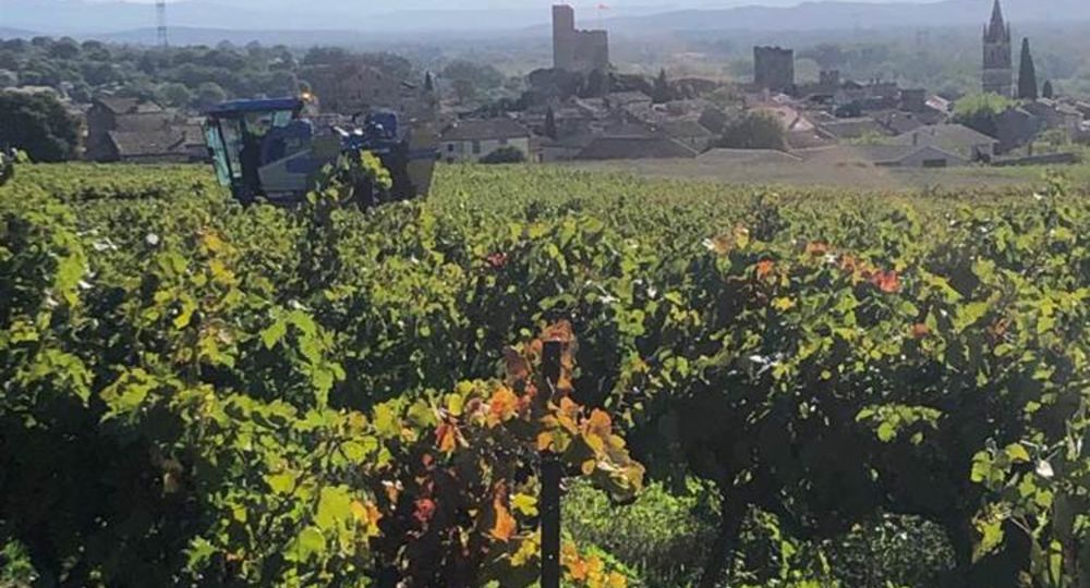 Domaine du Malignon_Laval-Saint-Roman