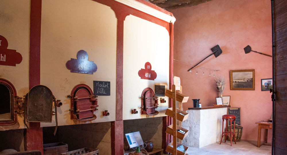 Visite et dégustation du Domaine de la Tour_Beaucaire