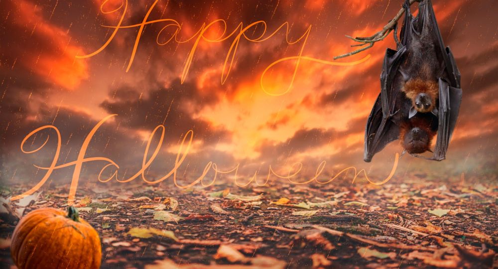 Veillée Halloween_Montfrin
