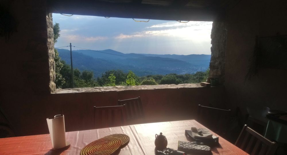 Célosa - Conciergerie_Lasalle