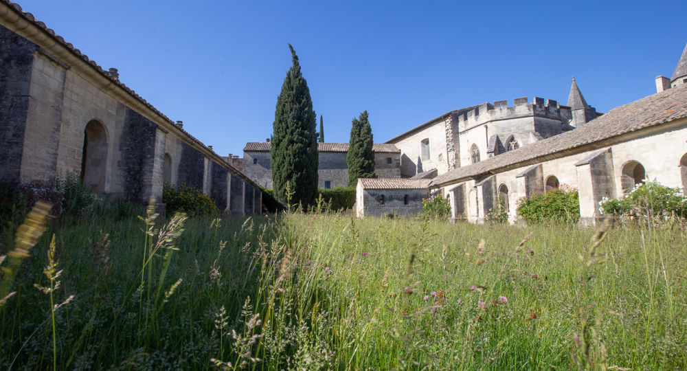 Exposition «Songs from the distorted south»_Villeneuve-lez-Avignon