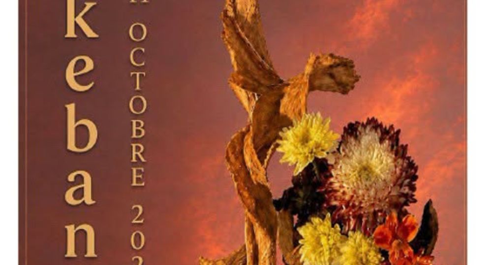 Exposition Ikebana_Castillon-du-Gard