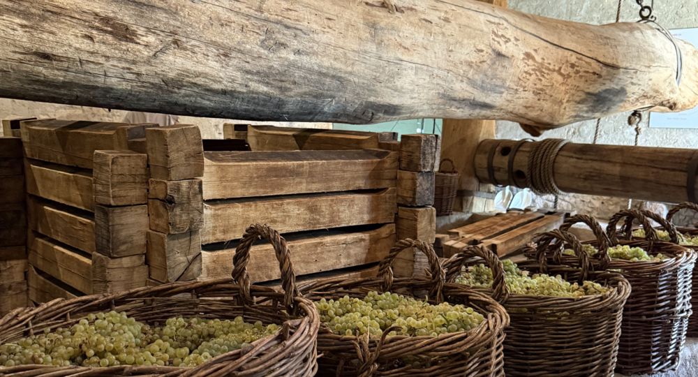 Vendanges Romaines au Mas des Tourelles_Beaucaire