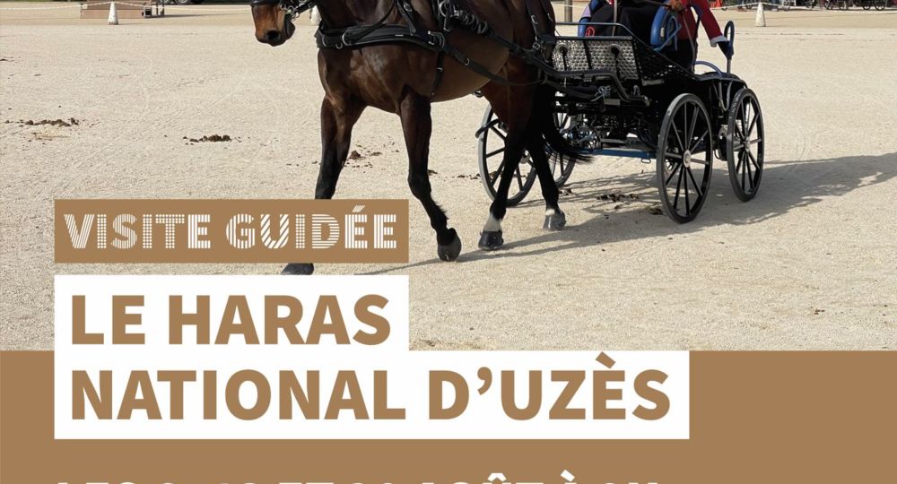 Visites guidées du Haras National d'Uzès - Uzès, Ville d'art et d'histoire_Uzès