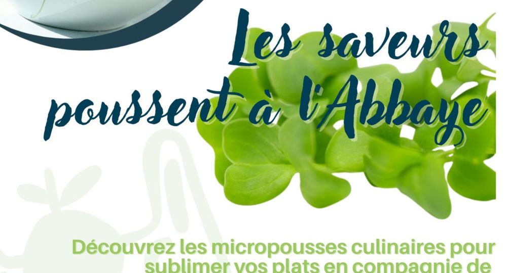 Les Samedis des Halles