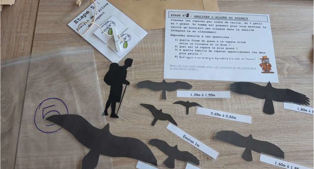 Cluedo des rapaces_Villeneuve-lez-Avignon