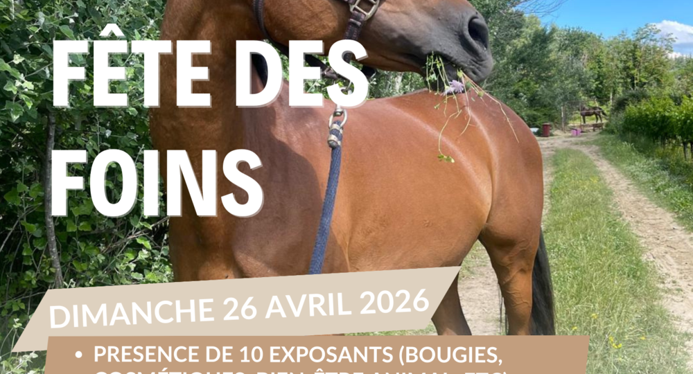 Fête des foins_Sabran