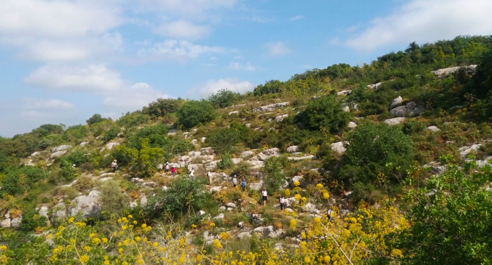 Balade insolite à la découverte des plantes sauvages comestibles dans la vallée de l’Eure