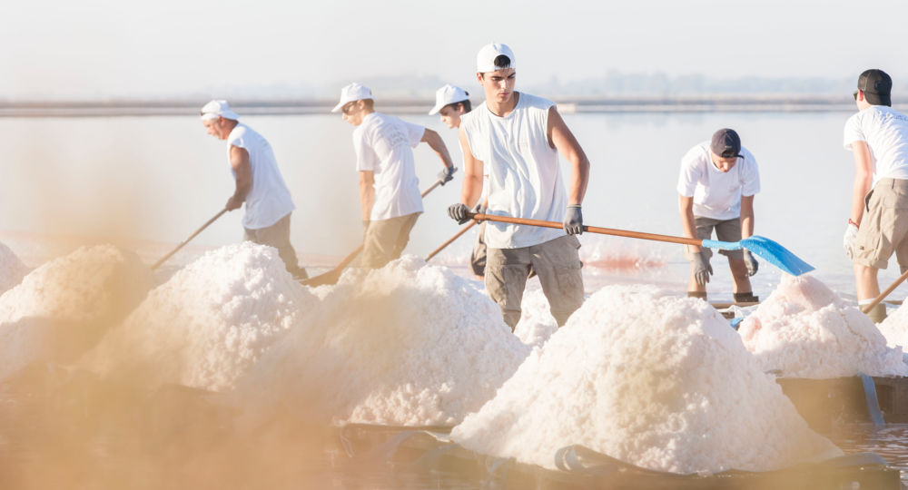 Visites de la récolte de la fleur de sel - Salin d'Aigues-Mortes_Aigues-Mortes