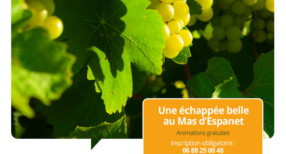 Terroirs vagabonds - Saint-Mamert-du-Gard