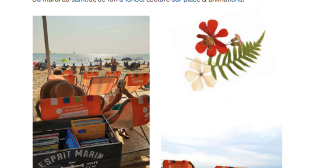 Un livre à la plage_Le Grau-du-Roi