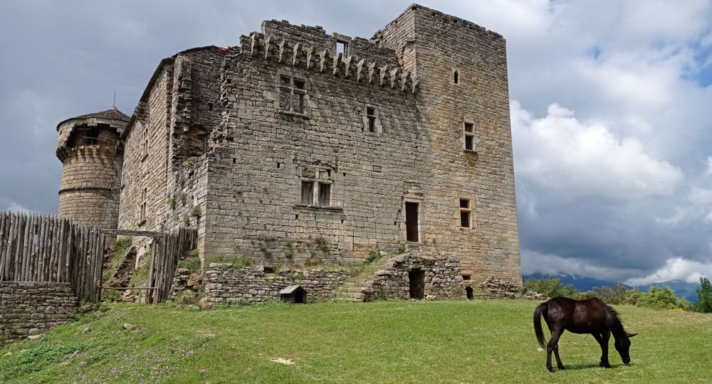 JEP 2025 : le Château d'Aujac : Un château ouvert sur le monde_Aujac