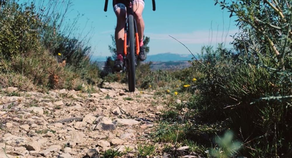 Gravel Sur les Rives du Rhône_Villeneuve-lez-Avignon