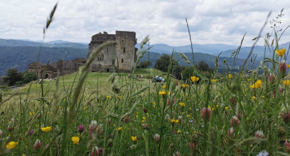 Château d'Aujac-3