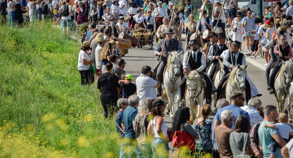 53ème Foire aux chevaux_Fourques