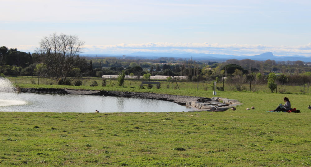 Parc de l'Esperion - Jardin Grégoire_Vauvert