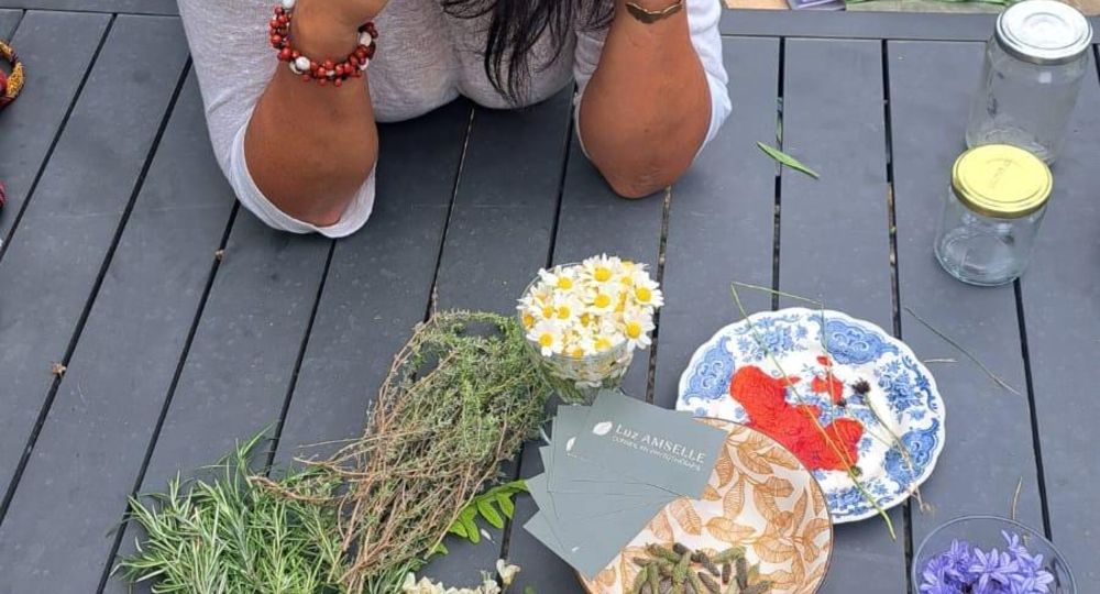 Atelier autour des plantes sauvages_Villeneuve-lez-Avignon