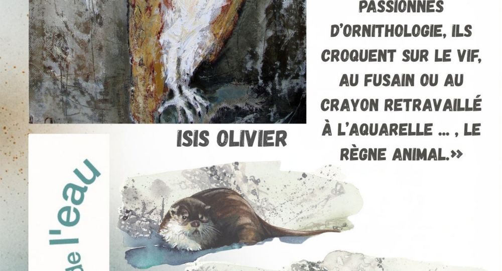 Histoires singulières - Rencontres sauvages_Les Plantiers