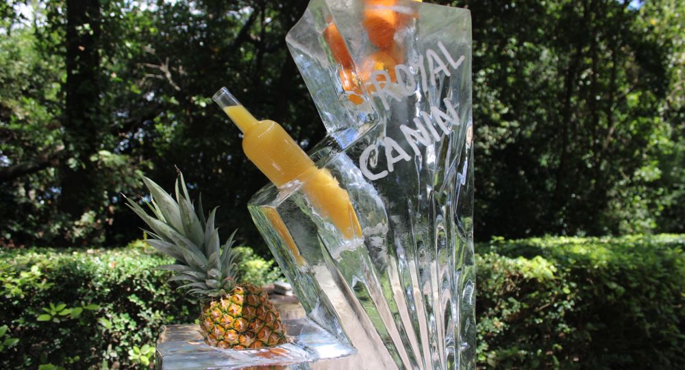 Maison Marcel_Nîmes